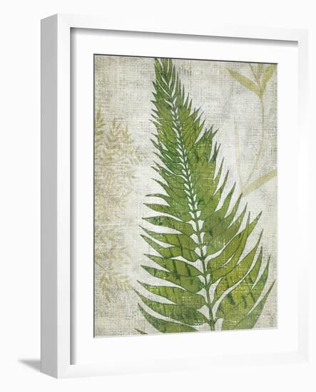 Frond II-Chariklia Zarris-Framed Art Print