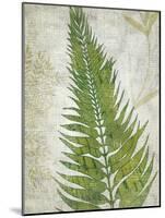 Frond II-Chariklia Zarris-Mounted Art Print