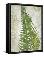 Frond II-Chariklia Zarris-Framed Stretched Canvas