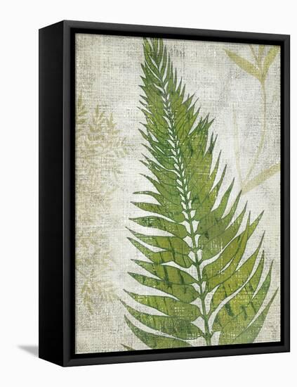 Frond II-Chariklia Zarris-Framed Stretched Canvas