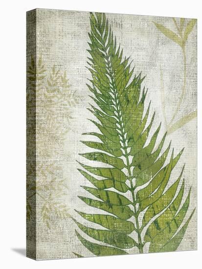 Frond II-Chariklia Zarris-Stretched Canvas