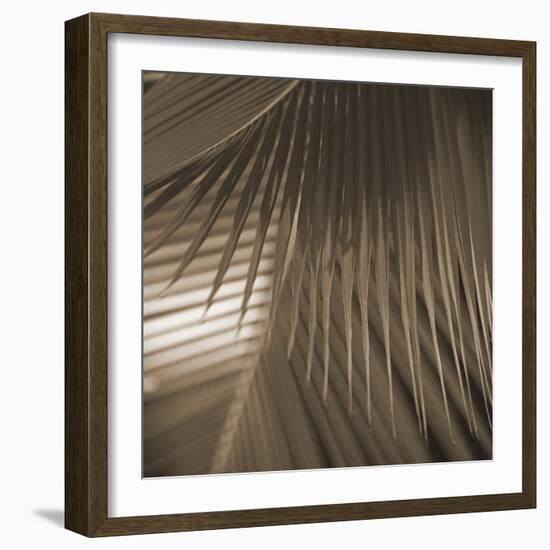 Frond Melody I-Tony Koukos-Framed Giclee Print