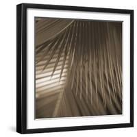 Frond Melody I-Tony Koukos-Framed Giclee Print