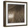 Frond Melody I-Tony Koukos-Framed Giclee Print