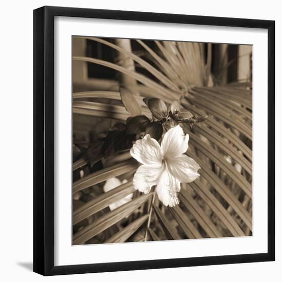 Frond Melody II-Tony Koukos-Framed Giclee Print