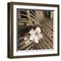 Frond Melody II-Tony Koukos-Framed Giclee Print