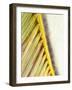 Frond Study I-Emily Robinson-Framed Photographic Print