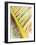 Frond Study II-Emily Robinson-Framed Photographic Print