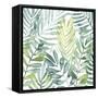 Frond Waltz II-Grace Popp-Framed Stretched Canvas