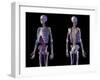 Front and back view of human skeletal and cardiovascular systems, black background.-Leonello Calvetti-Framed Art Print