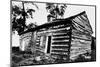 Front and East End of Abraham Lincoln Cabin from Southeast Corner-null-Mounted Photographic Print