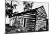 Front and East End of Abraham Lincoln Cabin from Southeast Corner-null-Mounted Photographic Print