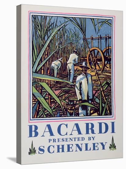 Front Cover of a Brochure About Bacardi Rum, Presented by the Schenley Distillers Corporation, 1934-null-Stretched Canvas
