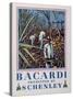 Front Cover of a Brochure About Bacardi Rum, Presented by the Schenley Distillers Corporation, 1934-null-Stretched Canvas