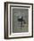 Front Cover of Early Edition-John Beer-Framed Art Print