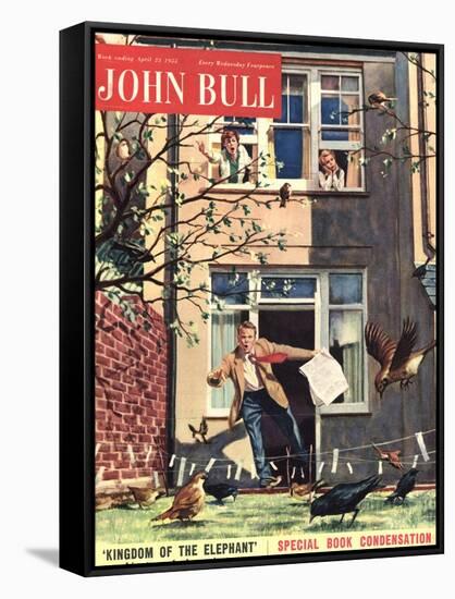 Front Cover of 'John Bull', April 1955-null-Framed Stretched Canvas