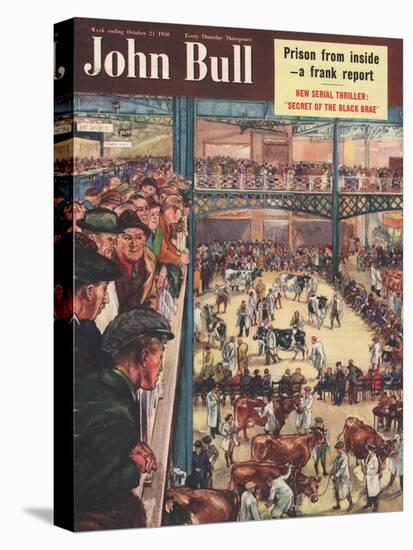 Front Cover of 'John Bull', October 1950-null-Stretched Canvas