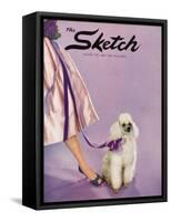 Front Cover Photograph Showing a Lady Posed with a Poodle-null-Framed Stretched Canvas