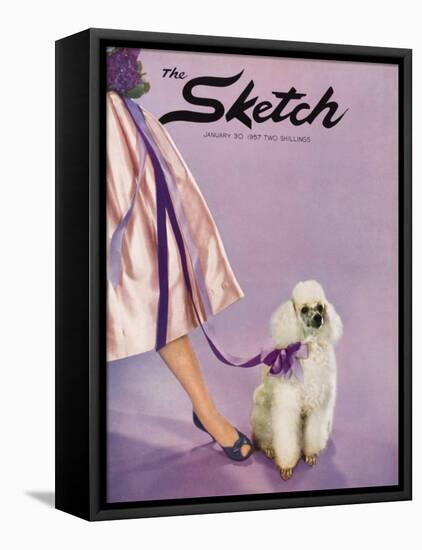 Front Cover Photograph Showing a Lady Posed with a Poodle-null-Framed Stretched Canvas