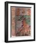 Front Cover-Charles Robinson-Framed Giclee Print