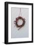 Front door, detail, autumnal decoration, willow wreath, heather-mauritius images-Framed Photographic Print