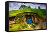 Front Door of a Hobbit House, Hobbiton, North Island, New Zealand, Pacific-Laura Grier-Framed Stretched Canvas