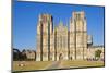 Front Facade of Wells Cathedral, Wells, Somerset, England, United Kingdom, Europe-Neale Clark-Mounted Photographic Print