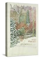 Front Garden in Heavy Snowstorm-Lillian Delevoryas-Stretched Canvas