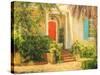 Front Garden Tuscan Dreams I-Walt Johnson-Stretched Canvas