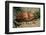 Front-Gilled or Geographic Cone Snail (Conus Geographus), Pacific Ocean.-Reinhard Dirscherl-Framed Photographic Print