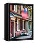 Front of House with an American Flag, Philadelphia, Pennsylvania, US, White Frame-Philippe Hugonnard-Framed Stretched Canvas