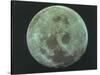 Front Side of the Moon, 22 July 1969-null-Stretched Canvas