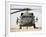 Front View of a UH-60L Black Hawk Helicopter-null-Framed Photographic Print