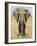 Front View of African Elephant with a Pierced Ear, Masai Mara National Reserve, East Africa, Africa-James Hager-Framed Photographic Print