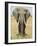 Front View of African Elephant with a Pierced Ear, Masai Mara National Reserve, East Africa, Africa-James Hager-Framed Photographic Print