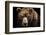 Front View of Brown Bear Isolated on Black Background. Portrait of Kamchatka Bear (Ursus Arctos Ber-Lubos Chlubny-Framed Photographic Print