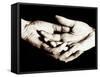 Front View of Cupped Hands Held Together-Cristina-Framed Stretched Canvas