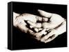 Front View of Cupped Hands Held Together-Cristina-Framed Stretched Canvas