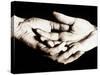 Front View of Cupped Hands Held Together-Cristina-Stretched Canvas