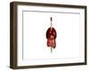 Front View of Human Digestive System with Lungs-null-Framed Art Print