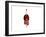 Front View of Human Digestive System with Lungs-null-Framed Art Print