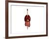 Front View of Human Digestive System with Lungs-null-Framed Art Print