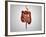 Front View of Human Digestive System-null-Framed Art Print