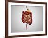 Front View of Human Digestive System-null-Framed Art Print