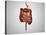 Front View of Human Digestive System-null-Stretched Canvas