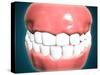 Front View of Human Mouth with Teeth and Gums-null-Stretched Canvas