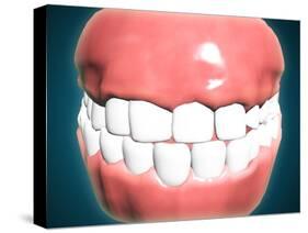 Front View of Human Mouth with Teeth and Gums-null-Stretched Canvas