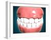 Front View of Human Mouth with Teeth and Gums-null-Framed Art Print