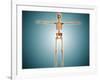 Front View of Human Skeletal System-null-Framed Art Print