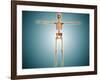 Front View of Human Skeletal System-null-Framed Art Print